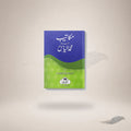 Makaateeb Hazrat Maulana Ilyas Rahmatullah Alaih book cover