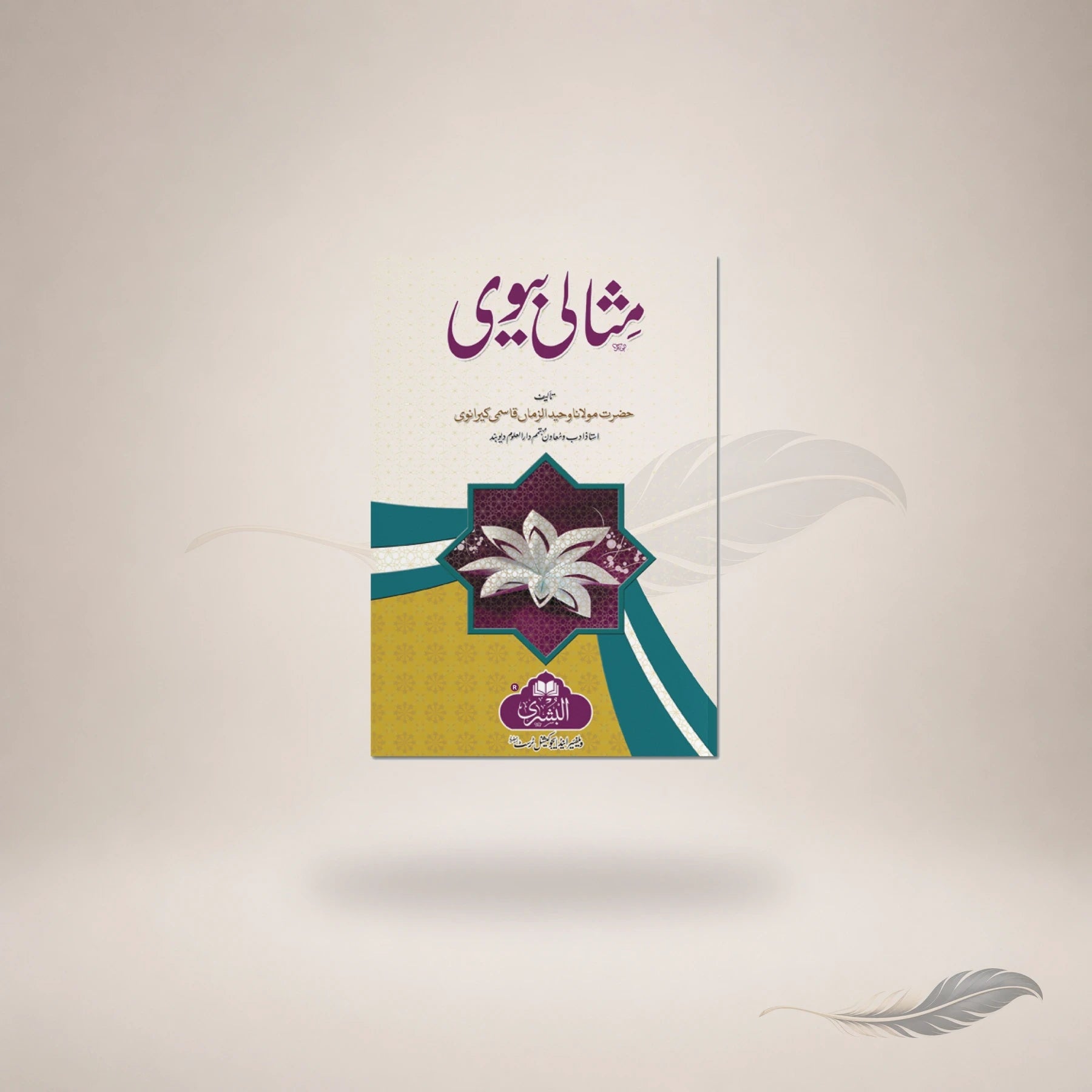 Misaali Biwi book cover