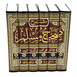 Sharh Sahih Muslim