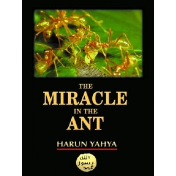 The Miracle In The Ant