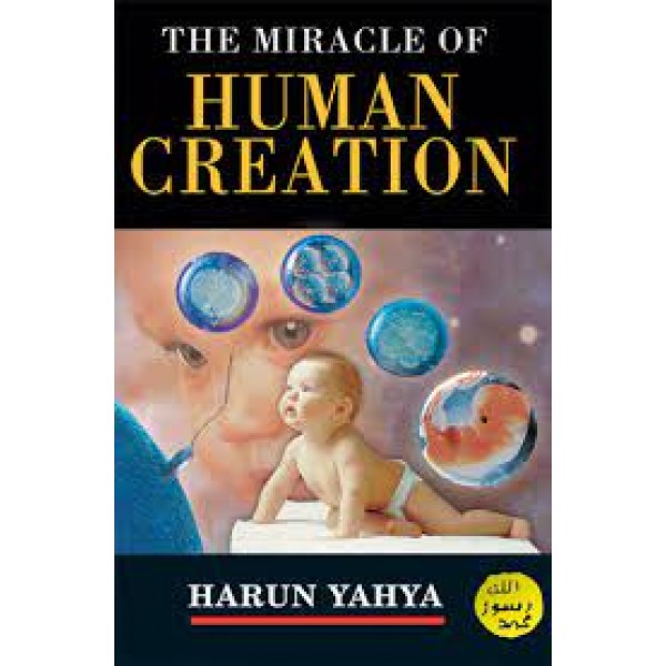 The Miracle Of Human Creation