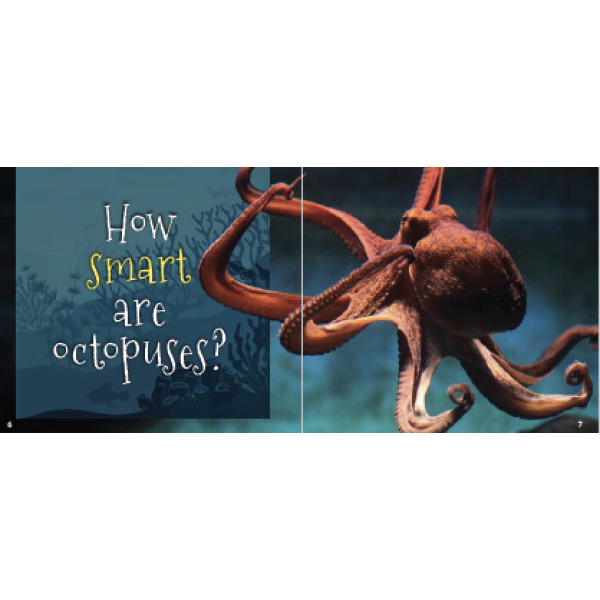 Answer Me This, World Book 2